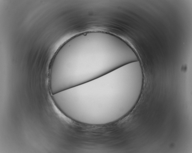 X0000111631143200907171122