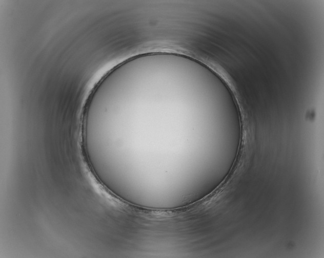 X0000111631144200907171122