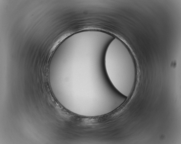 X0000111631145200907171122
