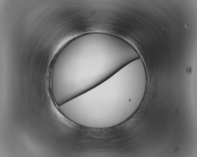 X0000111631147200907171122