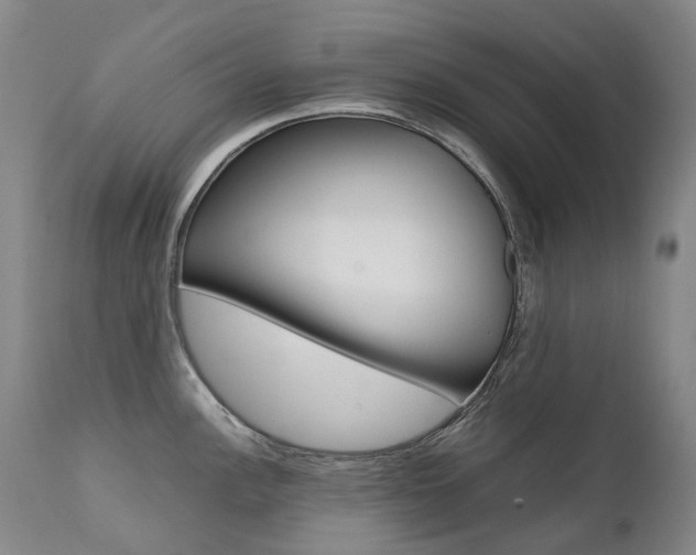 X0000111631148200907171122