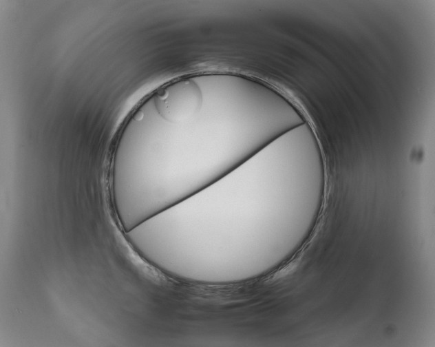 X0000111631149200907171122