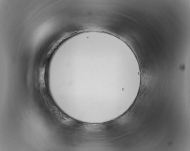 X0000111631150200907171122