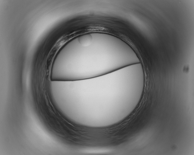 X0000111631151200907171122