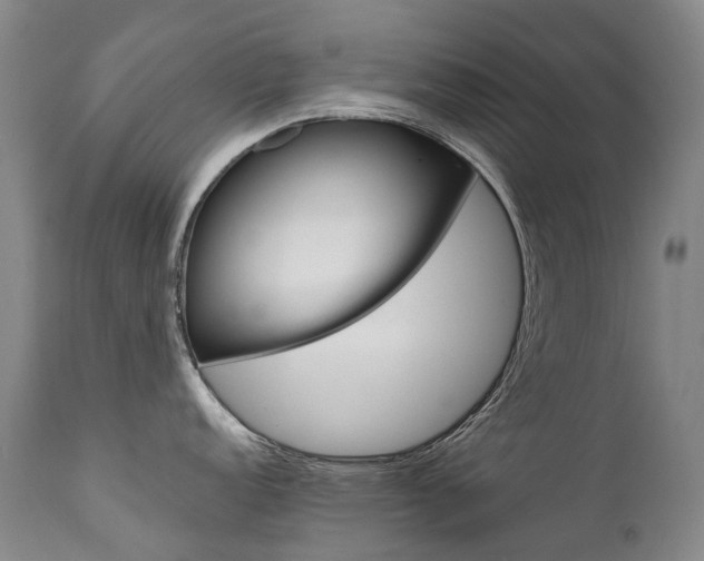 X0000111631152200907171122