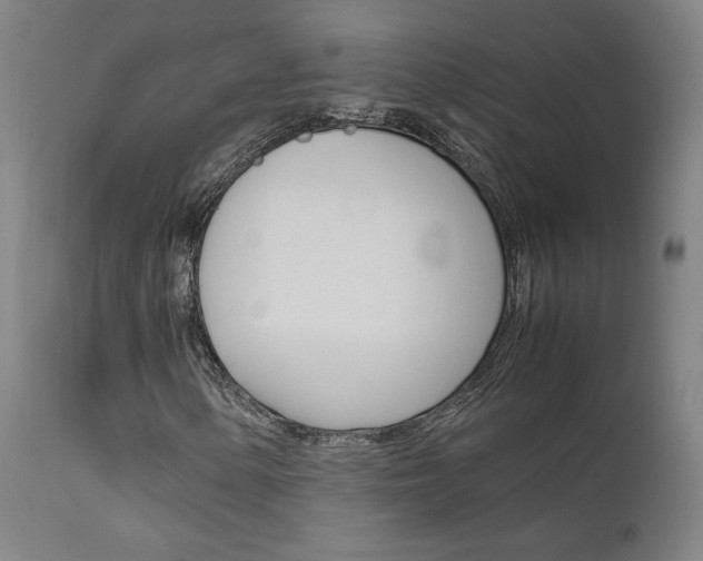 X0000111631154200907171121