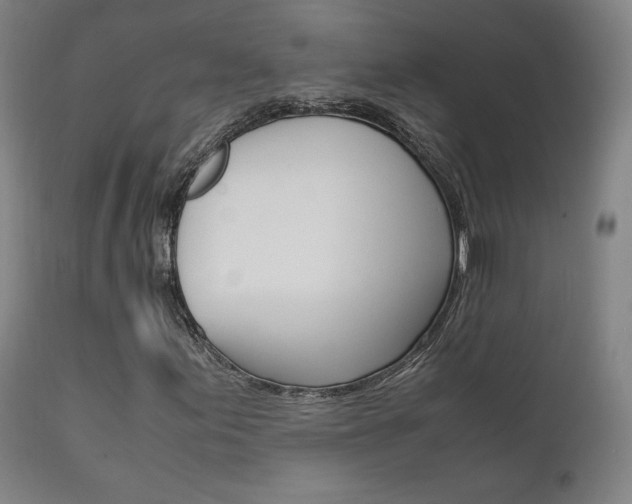 X0000111631155200907171121