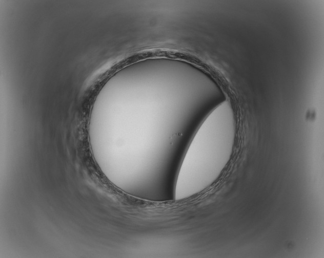 X0000111631159200907171121