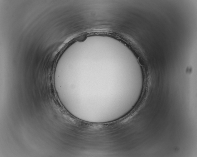 X0000111631162200907171121