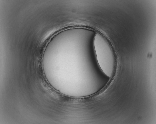 X0000111631163200907171121