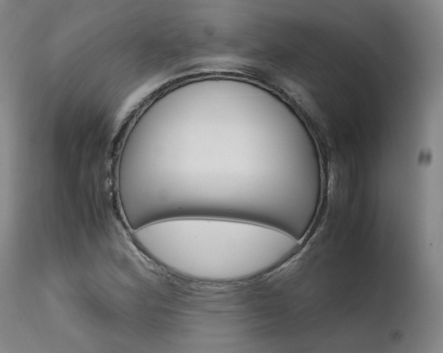 X0000111631164200907171121