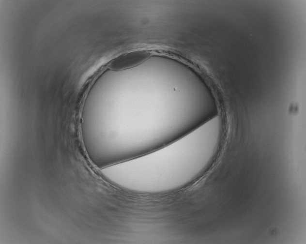 X0000111631165200907171121