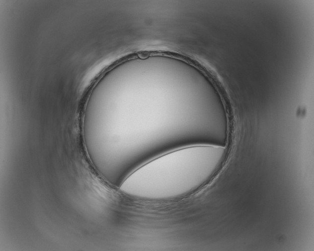X0000111631167200907171121