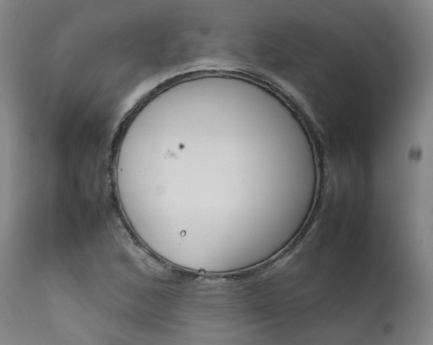 X0000111631168200907171121