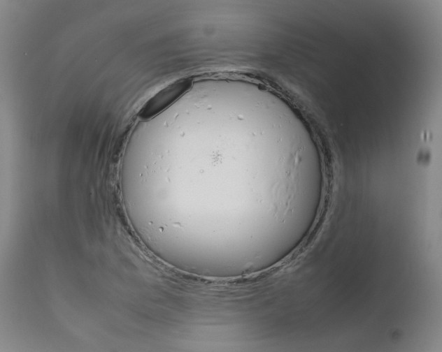 X0000111631169200907171121