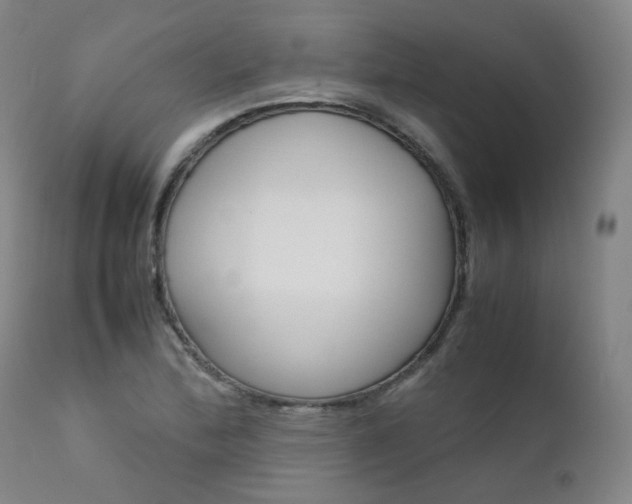 X0000111631172200907171121