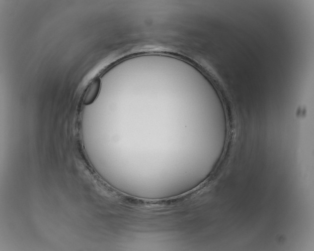X0000111631173200907171121