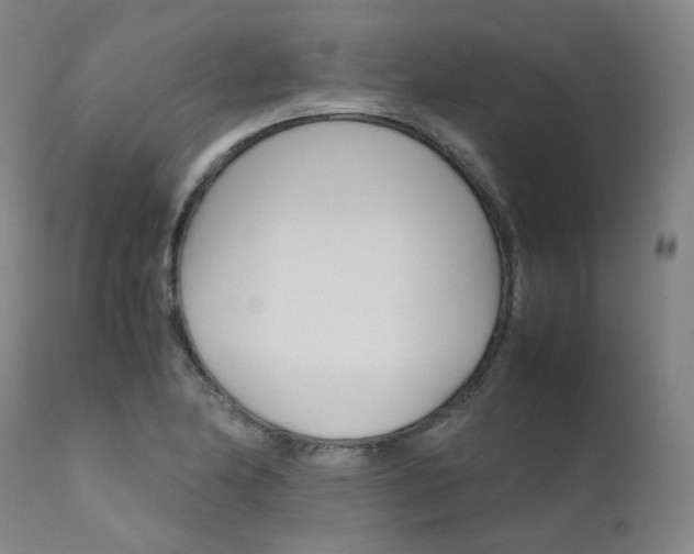 X0000111631174200907171121
