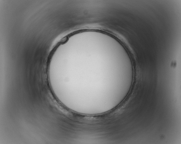 X0000111631176200907171121