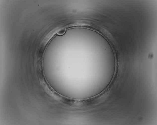 X0000111631177200907171121