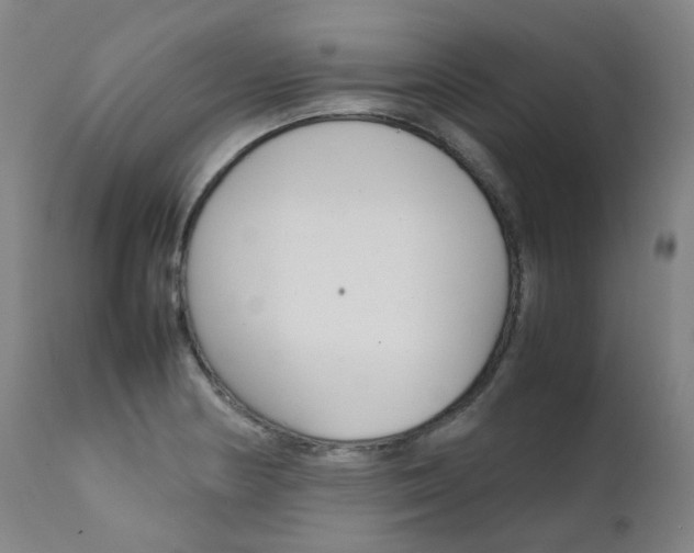 X0000111631178200907171121
