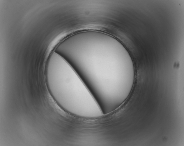 X0000111631180200907171121