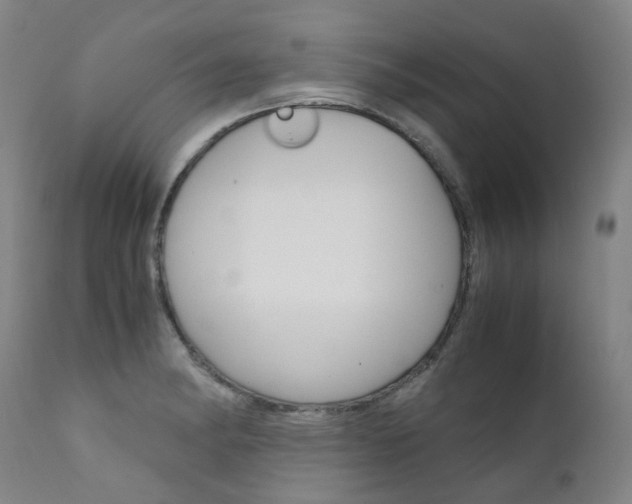 X0000111631182200907171121