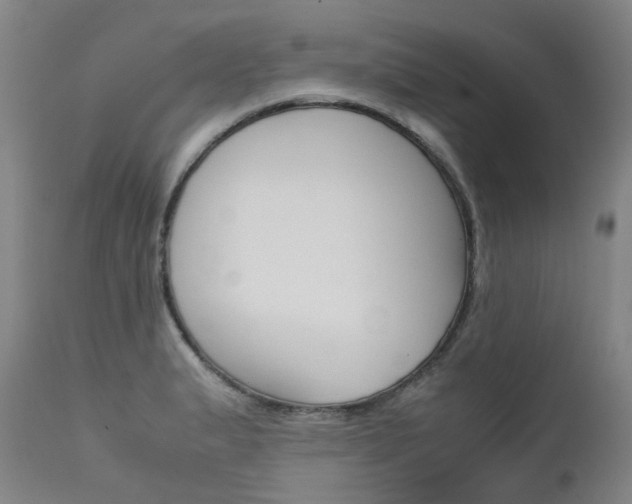 X0000111631183200907171121
