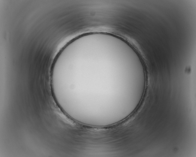 X0000111631184200907171121