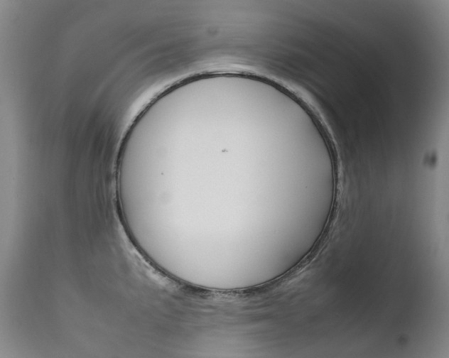 X0000111631191200907171121