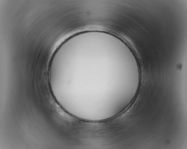 X0000111631192200907171121