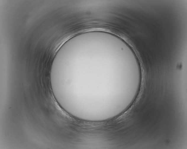 X0000111631193200907171121