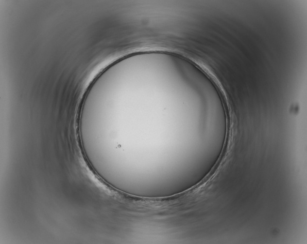 X0000111631197200907171121