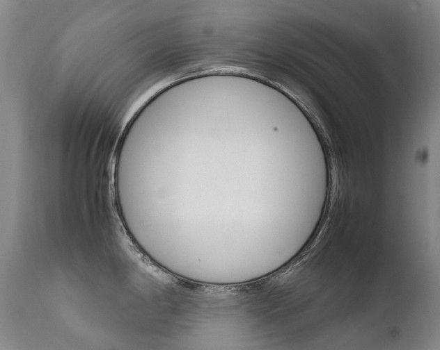 X0000111631198200907171121