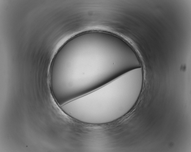 X0000111631199200907171121