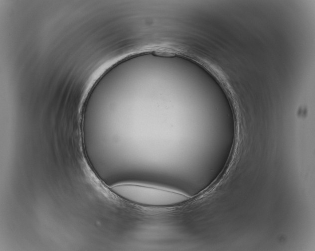 X0000111631200200907171121