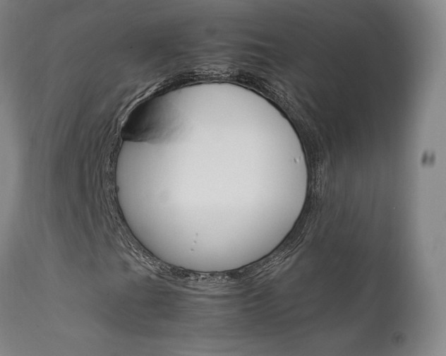 X0000111631201200907171120