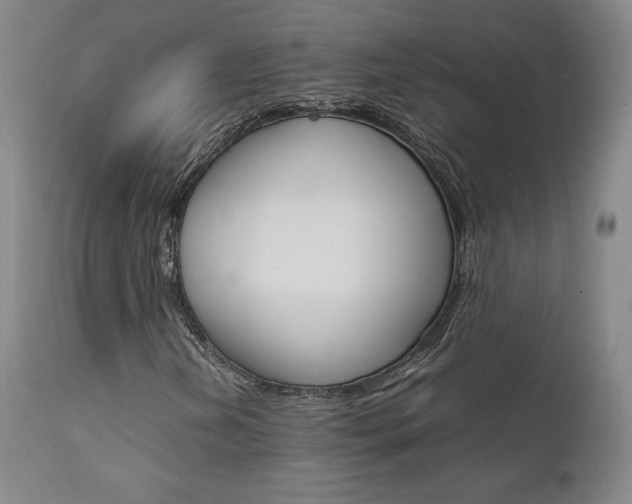 X0000111631202200907171120