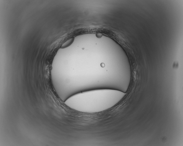 X0000111631204200907171120