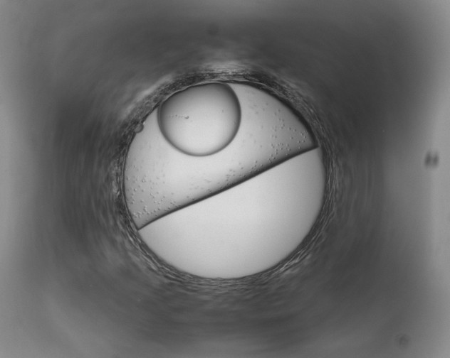 X0000111631205200907171120