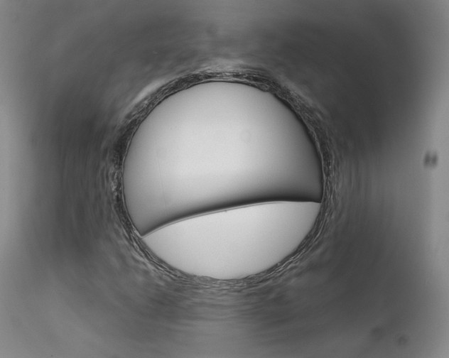 X0000111631206200907171120