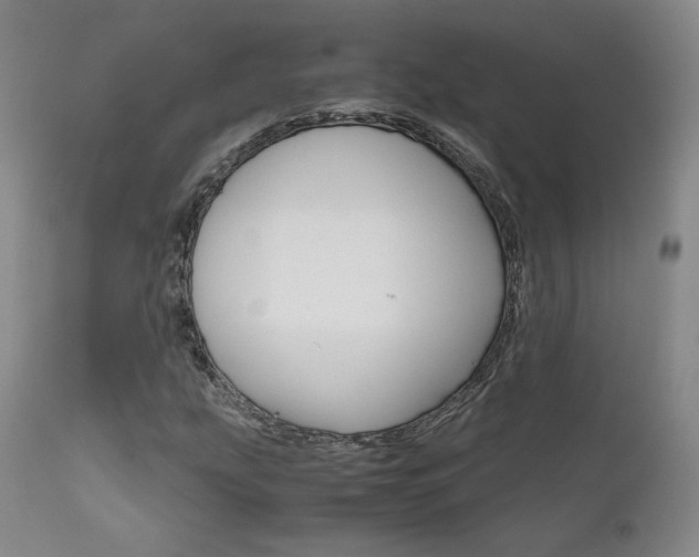 X0000111631207200907171120