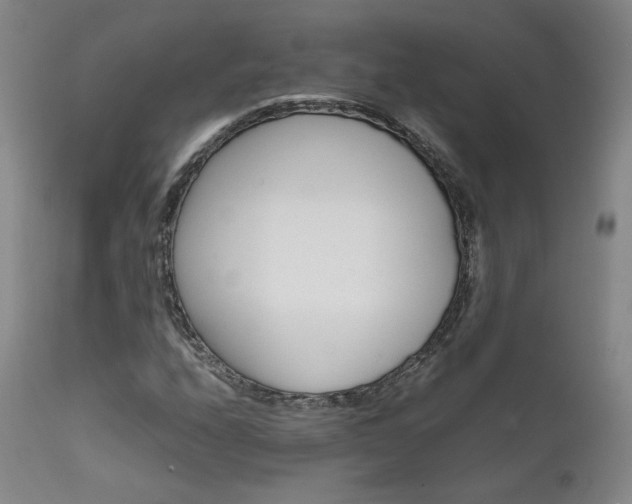 X0000111631208200907171120