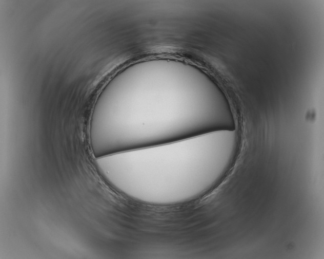 X0000111631209200907171120