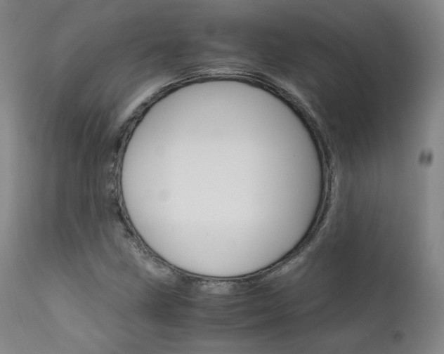 X0000111631211200907171120