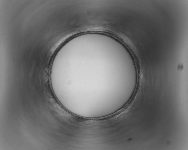 X0000111631212200907171120