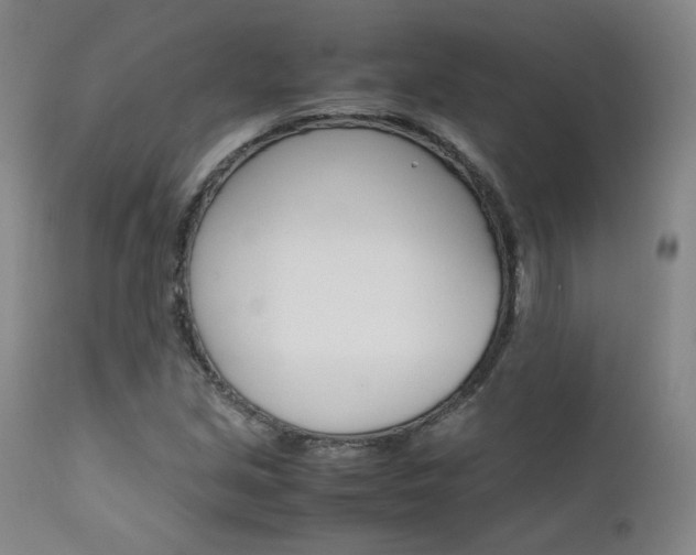 X0000111631213200907171120