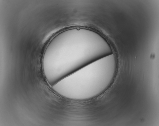 X0000111631214200907171120