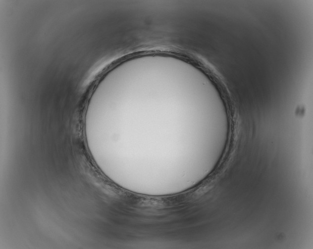 X0000111631215200907171120