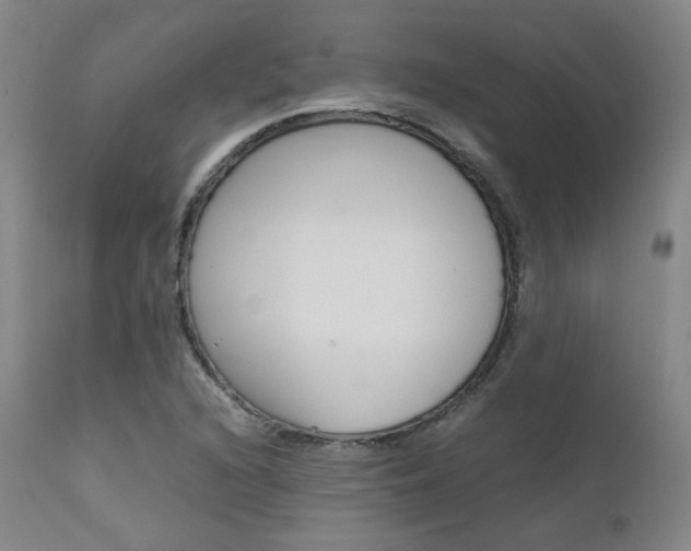 X0000111631216200907171120